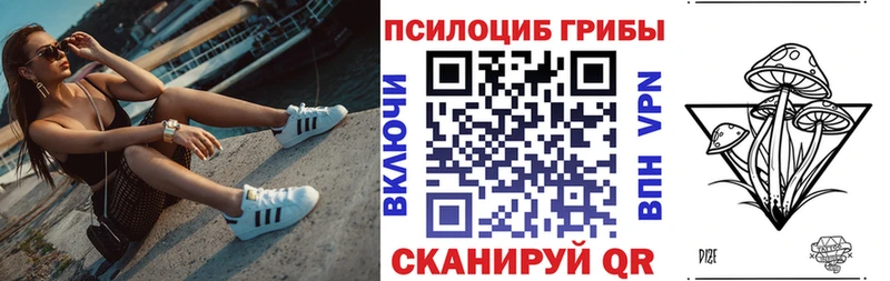 гидра ТОР  купить  сайты  Краснообск  Галлюциногенные грибы Psilocybe 